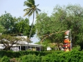 p1000516